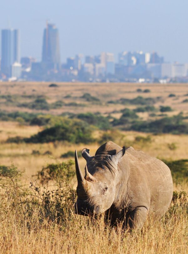nairobinationalpark1