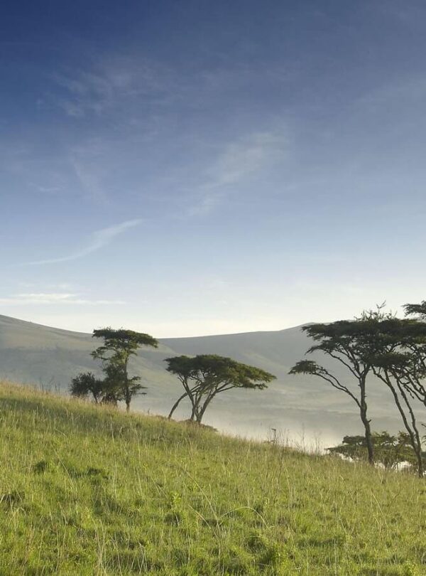 ngorongoro-crater=401195-300